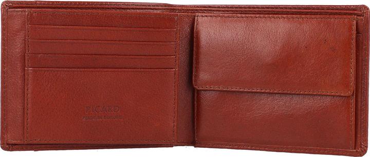 Actual product image Picard Buddy
