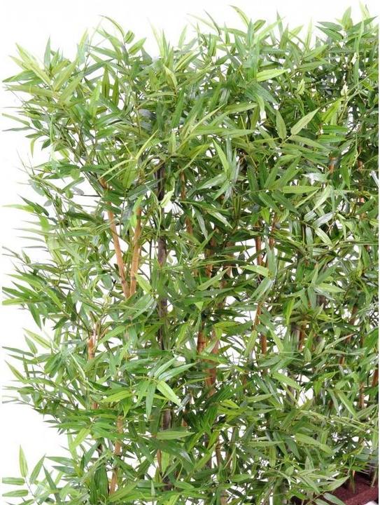 Image du produit Greendeco Haie artificielle de bambou Dense, environ 110cm