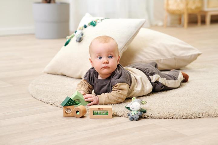 Produktbild Eichhorn Baby HiPP Soundbausteine