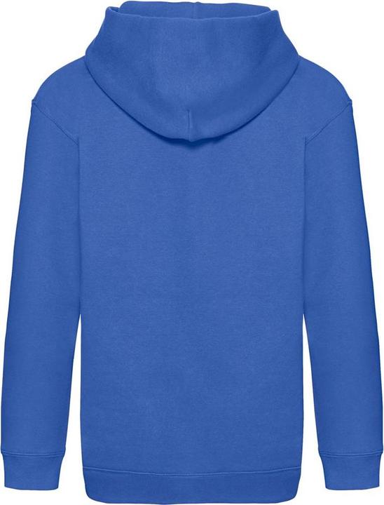 Actual product image Fruit of the Loom Childrens/Kids Premium Hooded Sweatshirt (152, 158)