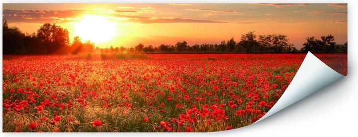 Immagine prodotto Trenddeko Campo di papaveri al tramonto (80 x 30 cm)