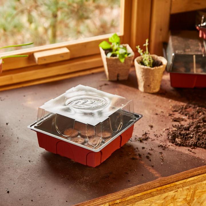 Actual product image Siena Garden Propagation greenhouse
