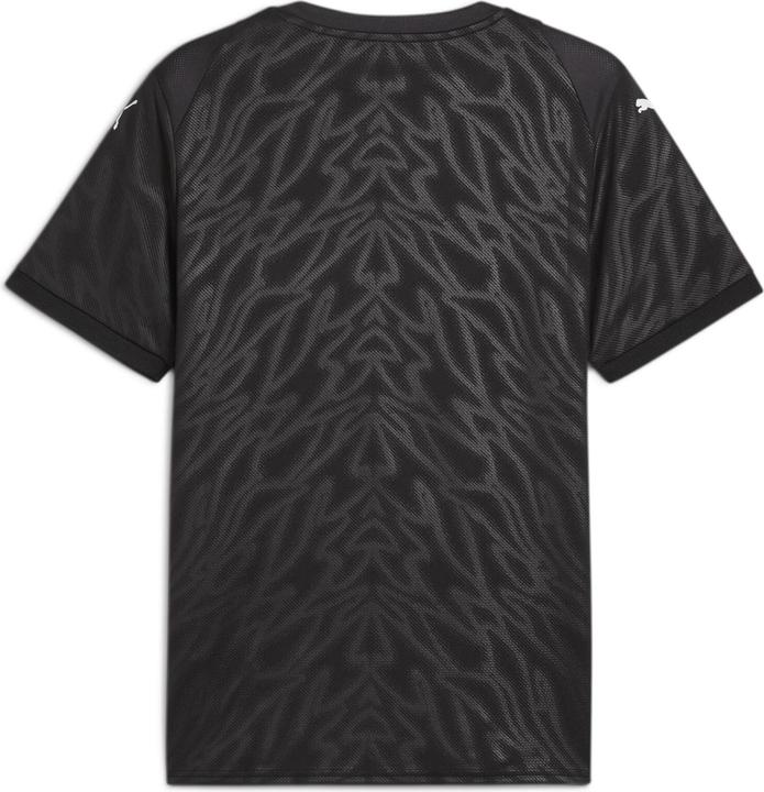 Image du produit Puma teamCUP Jersey (XL)