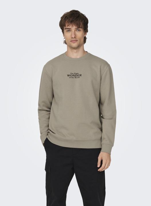 Image du produit Only & Sons ONSCELEBRITY REG CREW NECK SWT Sweat-shirt - 562138 (M)
