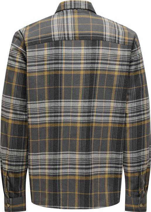 Image du produit Only & Sons Coupe normale Col de chemise Chemise (L)