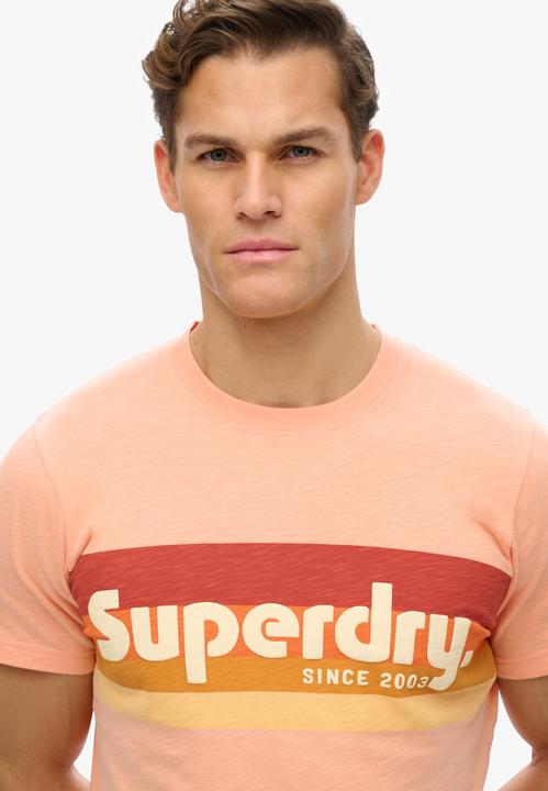 Produktbild Superdry Lässiges Terrain T-Shirt mit Streifen und Logo (M)