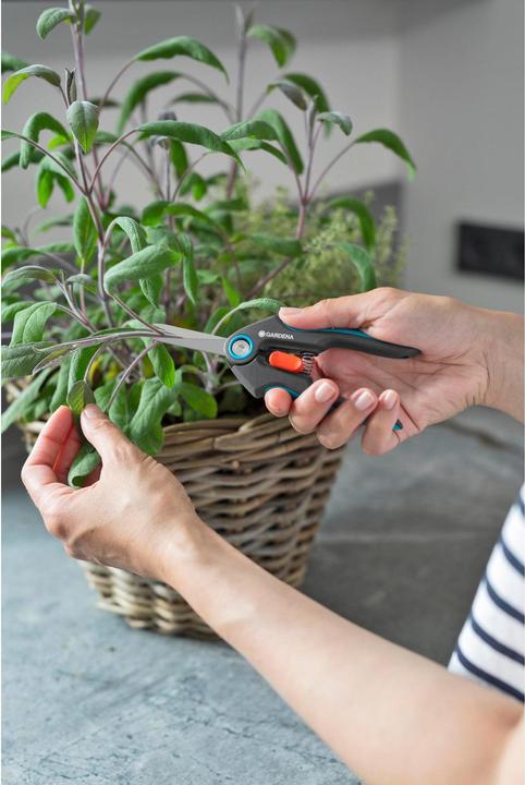 Immagine prodotto Gardena FreshCut