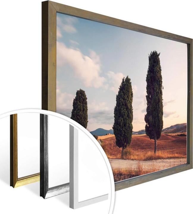 Produktbild Trenddeko Drei Zypressen am Weg (30 x 24 cm)