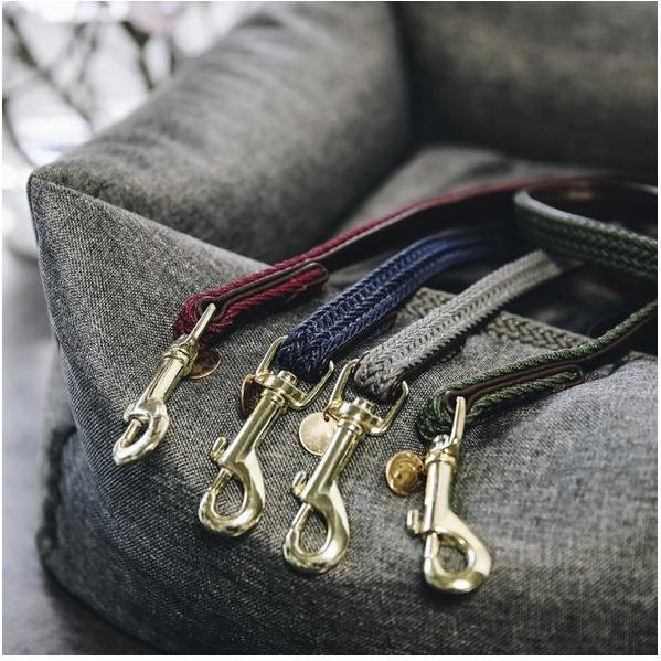 Produktbild Kentucky Dogwear Geknüpfte Nylon Hundeleine (Hund)