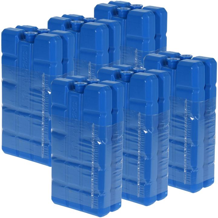 Image du produit ProWorld Lot de 12 éléments réfrigérants, accumulateurs de froid, 200 g chacun