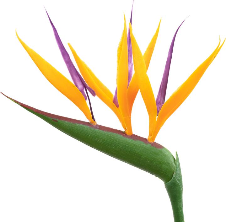 Produktbild Flowerbox 5er-Set Paradiesvogelblume mit Kunstblüte - Strelitzia Reginae (40 cm)