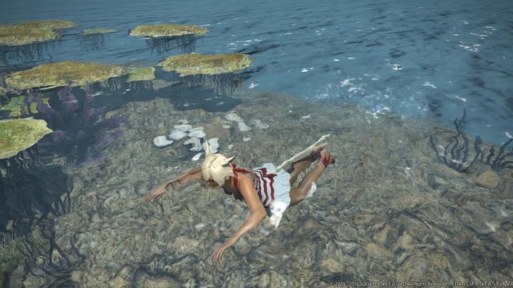 Produktbild Plaion Final Fantasy XIV Stormblood (PS4, IT)