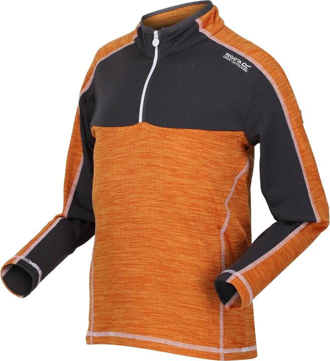 Actual product image Regatta Childrens/Kids Hewley Recycled Half Zip Fleece Top (164)