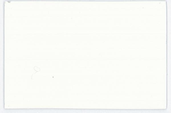 Actual product image Lascaux Acrylic paint Studio (Mussel white, 500 ml)