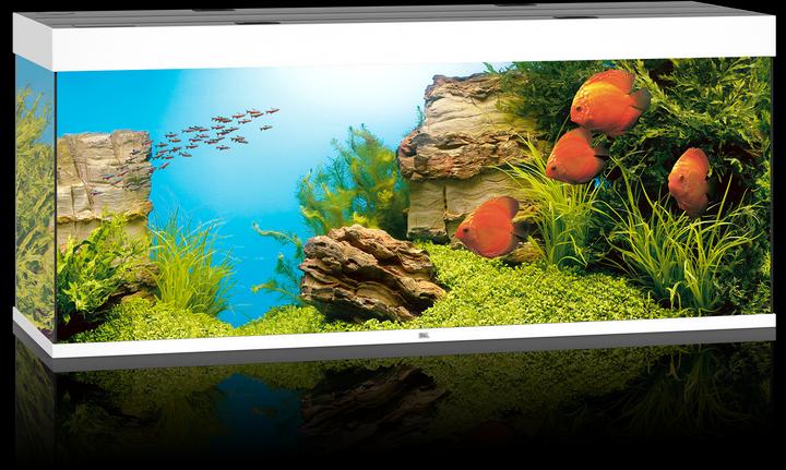 Image du produit Juwel Aquarium Rio (450 l)