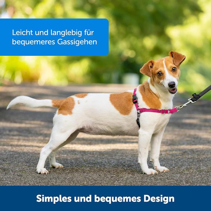 Produktbild PetSafe Easy Walk Geschirr (L, Hund, Spazieren)