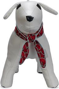Produktbild Beeztees Quick Cooler Meloenie (Hund, Allgemein)