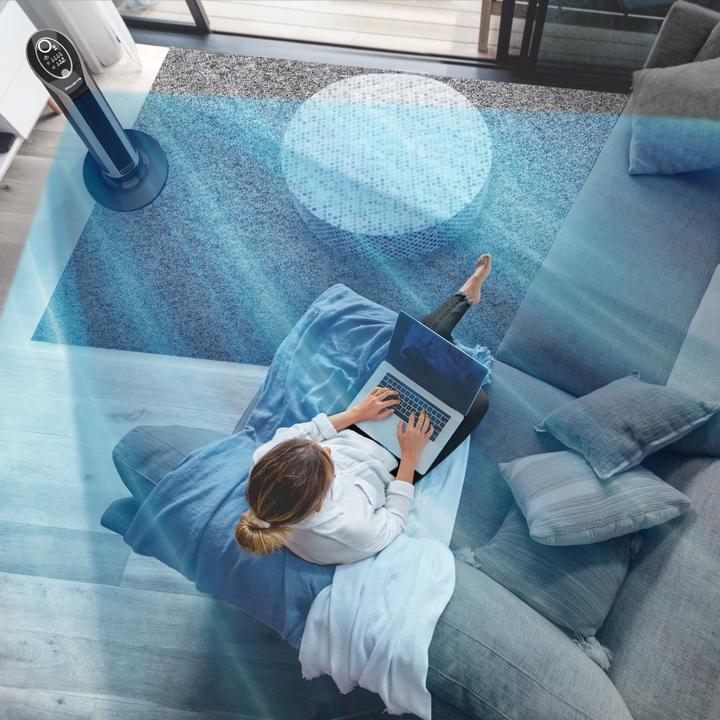Image du produit Rowenta Eole Infinite (57 dB)