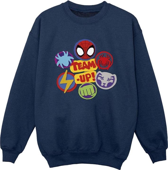 Spidey And His Amazing Friends Team Up Sweatshirt Jungen