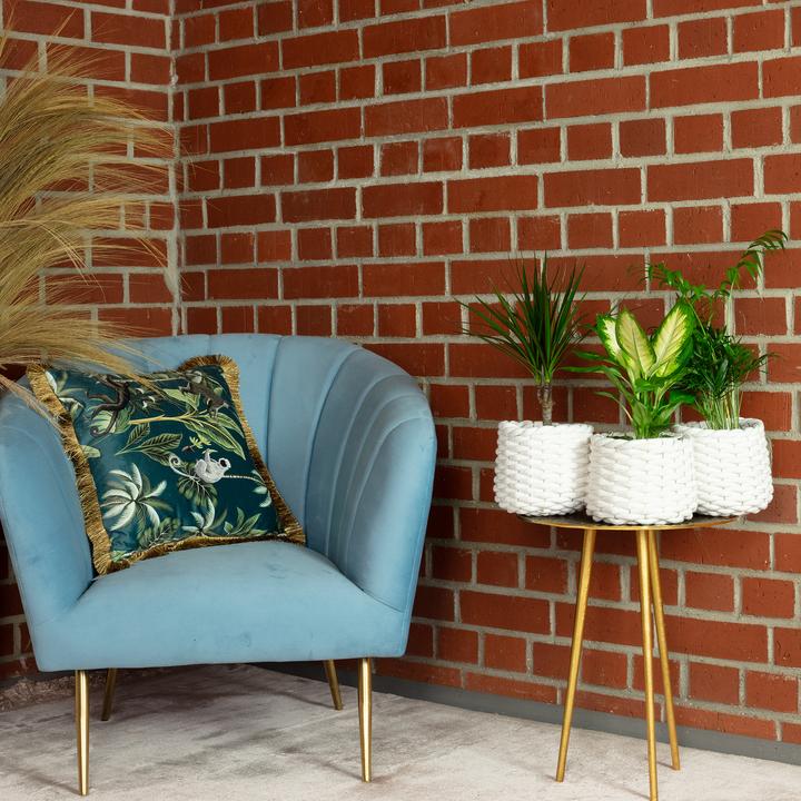 Actual product image Flowerbox Set of 3 indoor plants Chamaedorea, Dieffenbachie, Dracaena - pot-Ø 10-12 cm (30 cm)