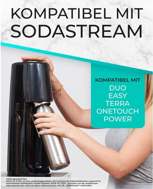 Produktbild SodaBär Mate of Steel Isolierflasche Dory für SodaStream