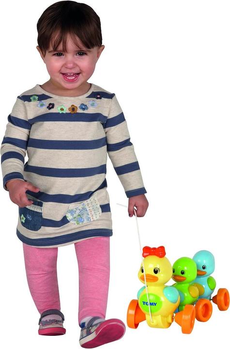 Actual product image Tomy Duck Family