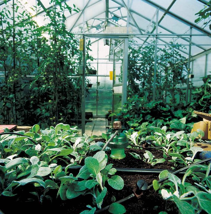 Produktbild Blumat Ergänzungspack (Tropfbewässerung Tropfer)