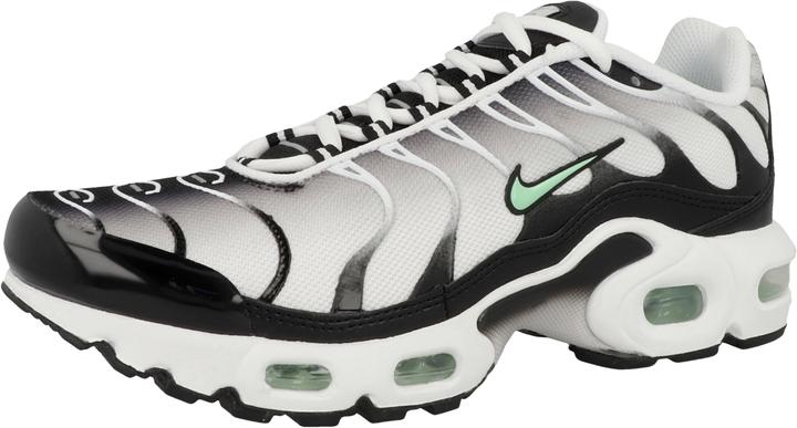 Nike Air Max Plus (38)