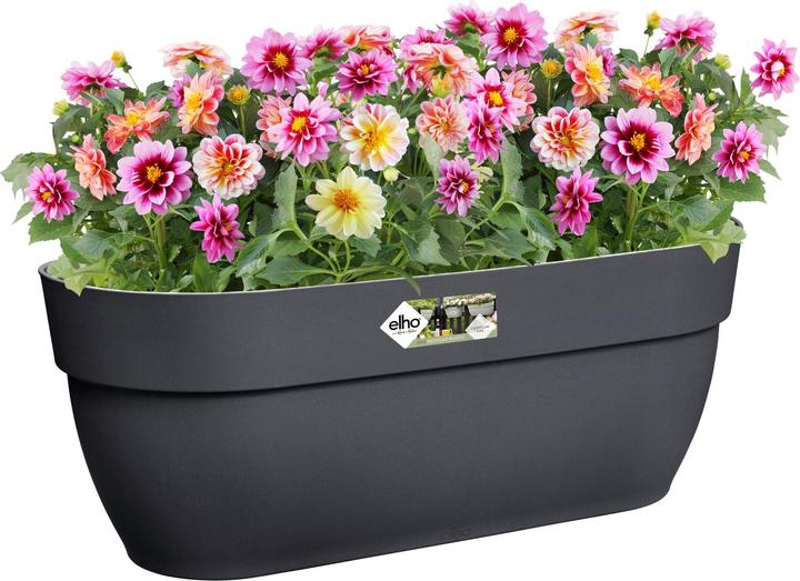 Image du produit Elho Vibia Campana Easy (46 cm)
