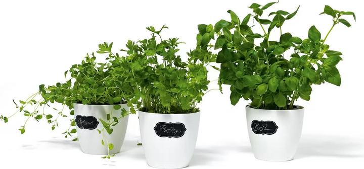 Produktbild HERMA Tafeletiketten