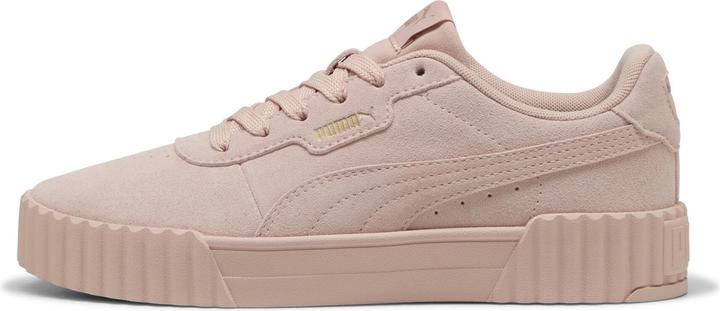 Puma Carina 3.0 SD