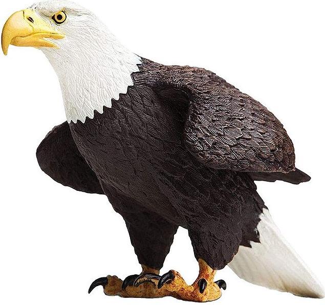 Actual product image Safari Bald Eagle