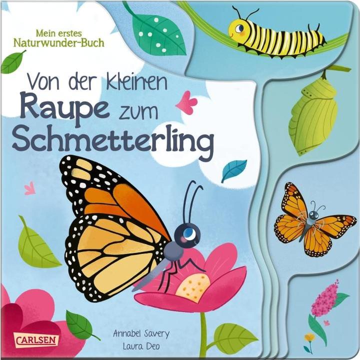 Produktbild Von der kleinen Raupe zum Schmetterling (Deutsch)