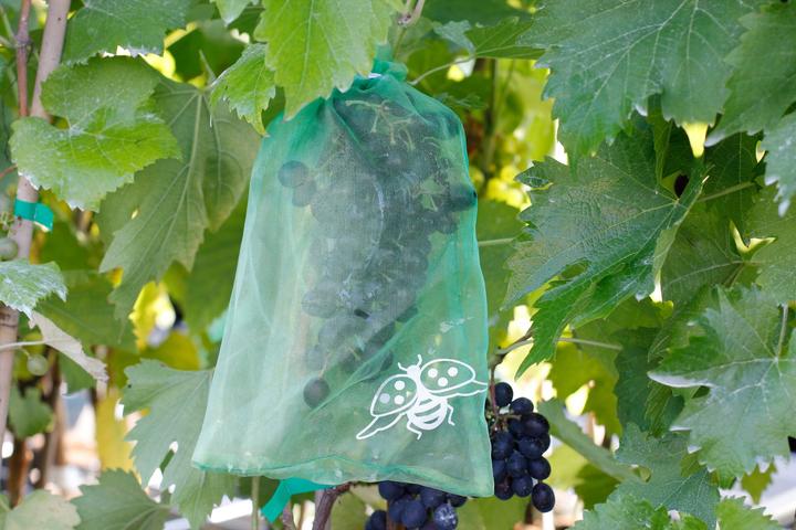 Actual product image Andermatt Biogarten Grape protection bags set of 10
