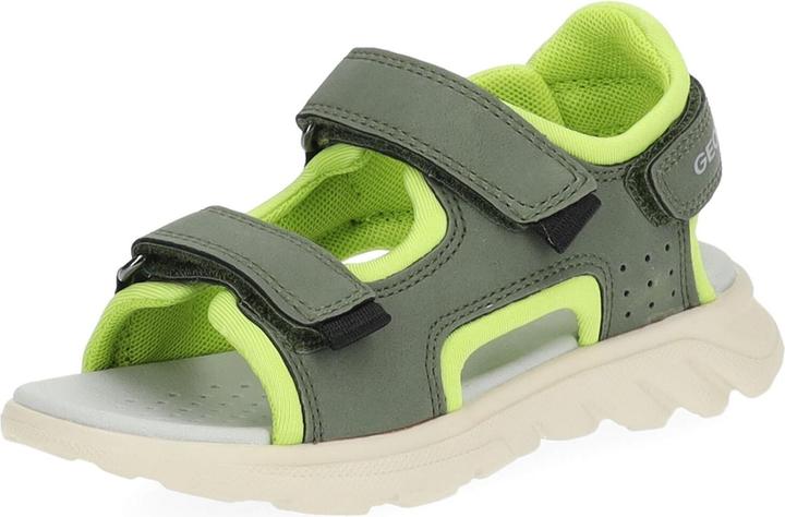 Geox 3823998