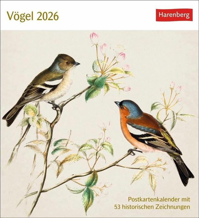 Produktbild Harenberg Vögel Postkartenkalender 2026 - Postkartenkalender mit 53 historischen Zeichnungen (Harter Einband, Deutsch)