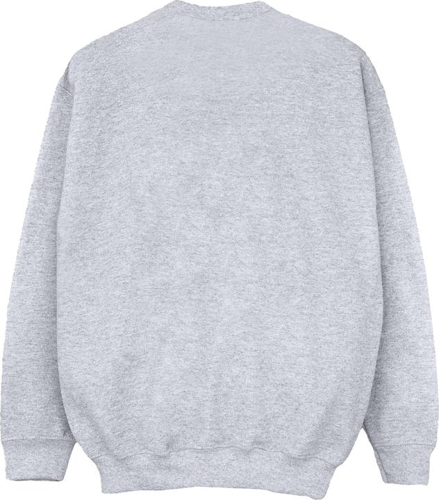 Produktbild Disney High School Musical The Musical Property Of Wildcats Sweatshirt Jungen (152, 158)