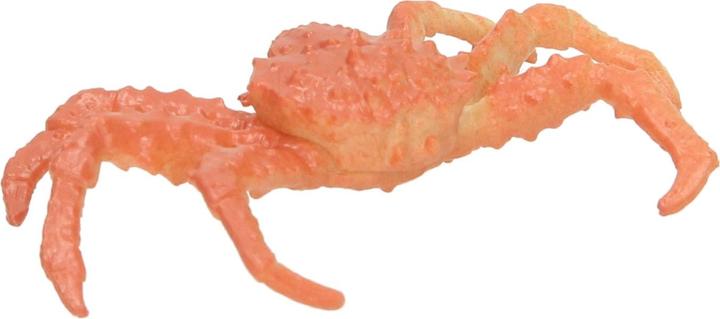 Actual product image Marine animals