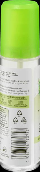 Immagine prodotto dm alverde Deodorante Sprayer Salvia Lime (Getto vaporizzato)