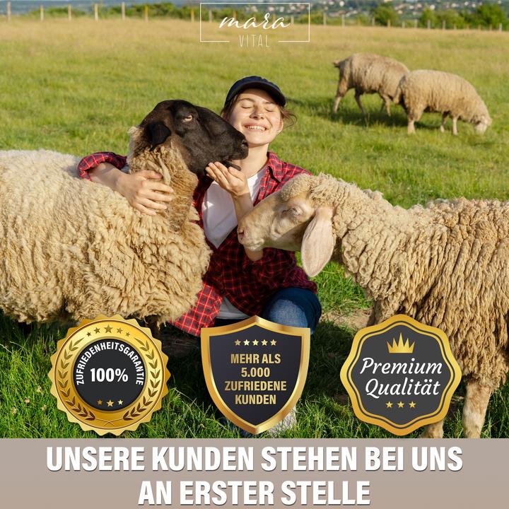 Produktbild Mara Vital Schurwollkissen (40 x 60 cm)