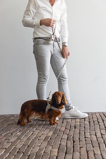Productafbeelding Designed by Lotte Velura (XXS, XS, S, M, L, Hond, Algemeen)