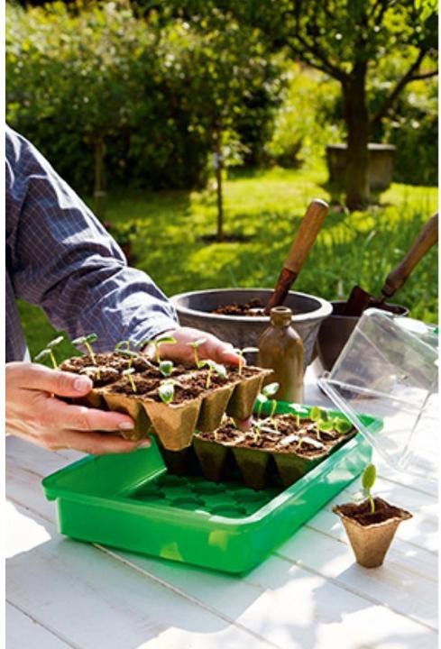Produktbild Romberg 144 Anzuchttöpfe 5 cm quadr. 8 Strips à 18 Töpfe,Grosspackung