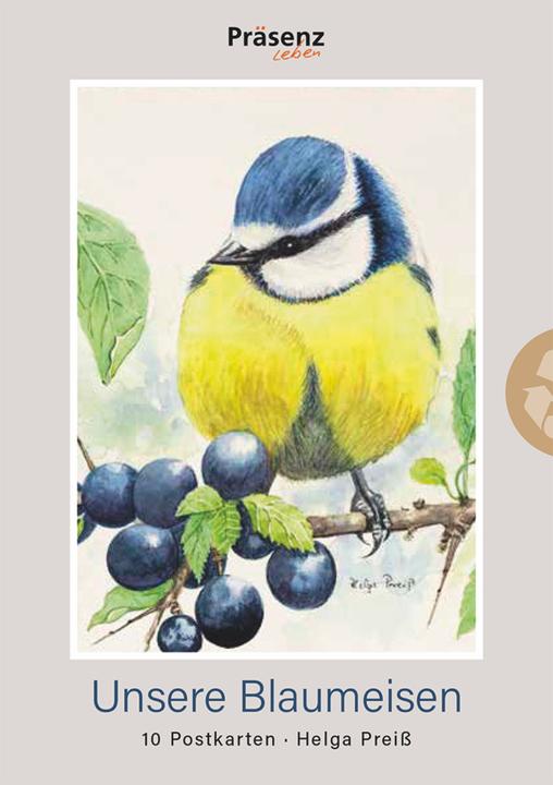 Produktbild Unsere Blaumeisen (10 Stk.)