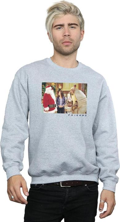 Image du produit Friends - Sweat THE HOLIDAY ARMADILLO - Homme (XXL)