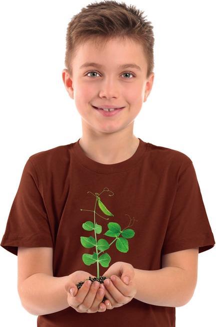 Immagine prodotto Clementoni La Botanica