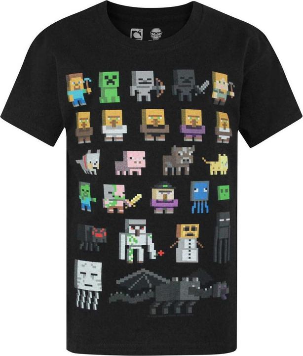 Actual product image Minecraft Official Boys Sprites Characters T-Shirt (176)