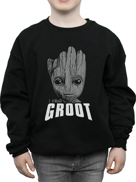Produktbild Guardians Of The Galaxy Groot Face Sweatshirt Jungen (116)
