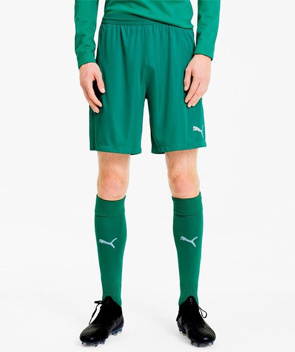 Image du produit Puma short en maille teamFINAL 21-704257 (M)