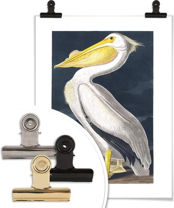 Actual product image Trenddeko Pelican (60 x 80 cm)