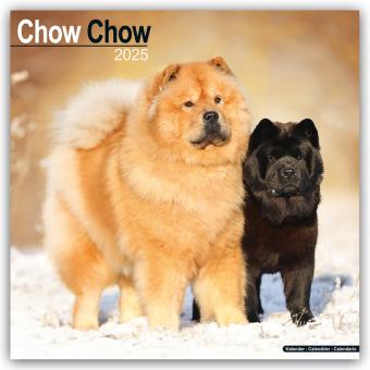 Produktbild Avonside Publishing Ltd:Chow Chow 2025 (30.5 x 30.5 cm, Harter Einband, Deutsch)